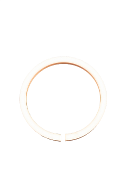 Запчасть Bostitch N509289 Кольцо